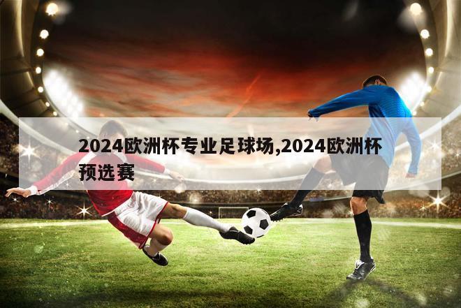 2024欧洲杯专业足球场,2024欧洲杯预选赛