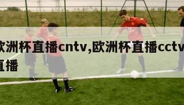 欧洲杯直播cntv,欧洲杯直播cctv5直播