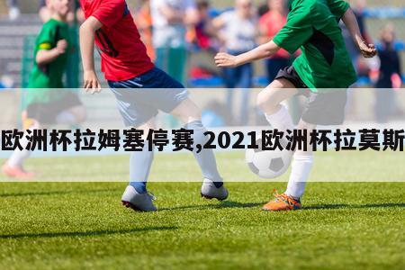 欧洲杯拉姆塞停赛,2021欧洲杯拉莫斯